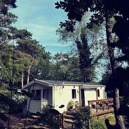 Knus Chalet Midden In De Bossen Nunspeet Esterno foto