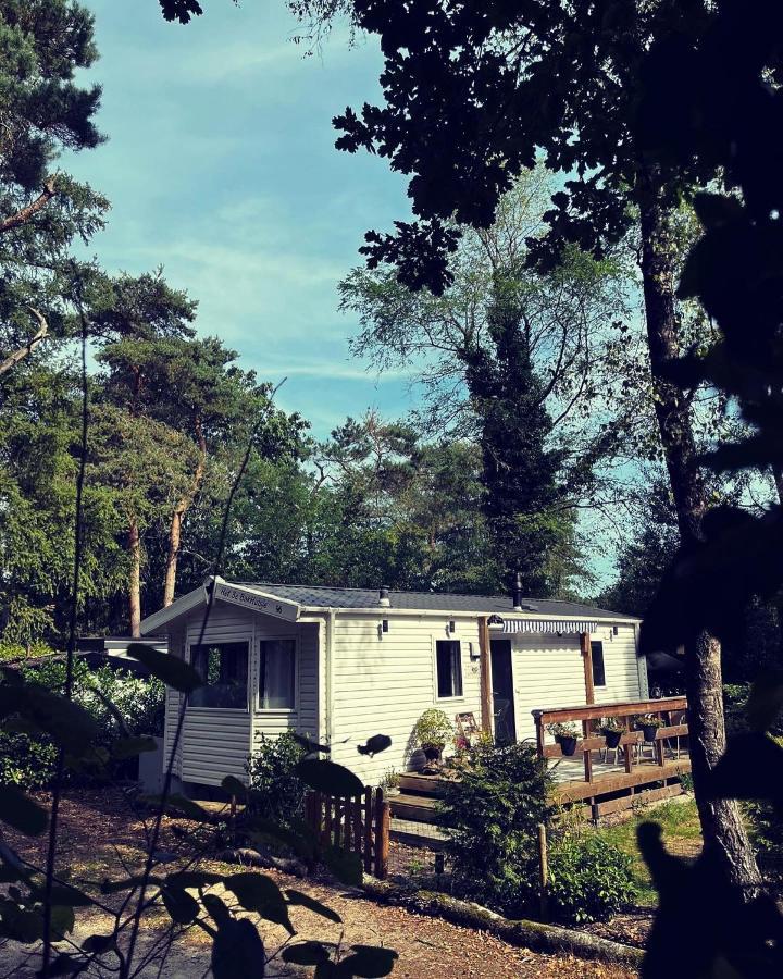 Knus Chalet Midden In De Bossen Nunspeet Esterno foto