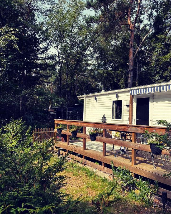 Knus Chalet Midden In De Bossen Nunspeet Esterno foto